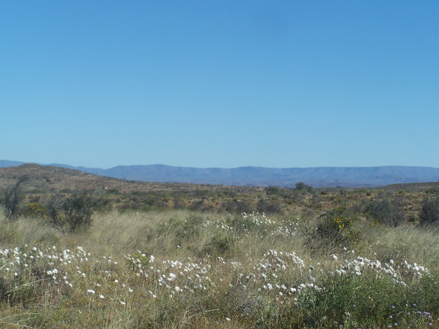 Commercial Property for Sale in Prince Albert Rural Western Cape